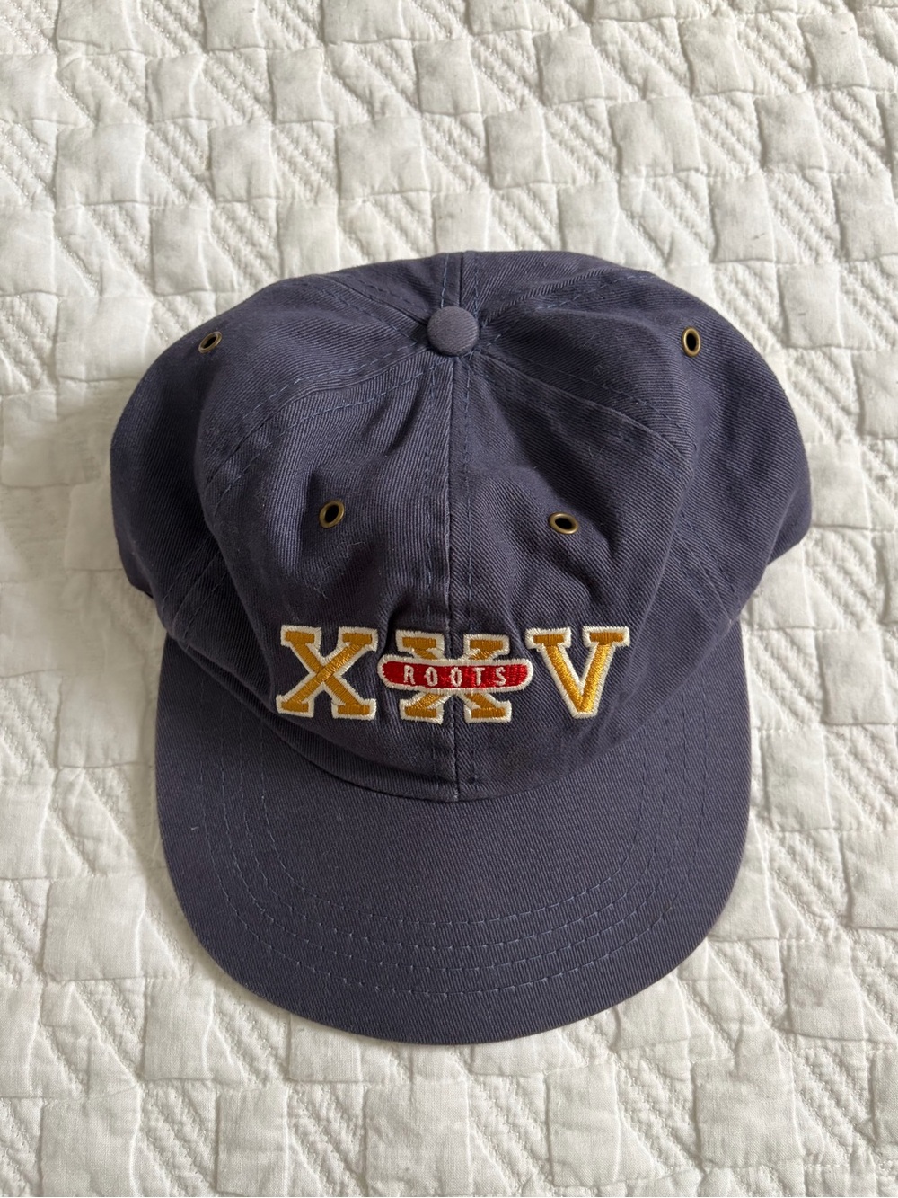 Vintage Roots XXV 25th Anniversary Strapback Hat Flat Brim Made In Canada